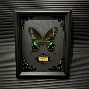 Pravi uokvirjena metulj vzorcu Doma Dekor Darilo Zbirka Lesenih Pretemnih delov Polje